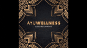 ayuwellness villa yacht cagliari menta GIF