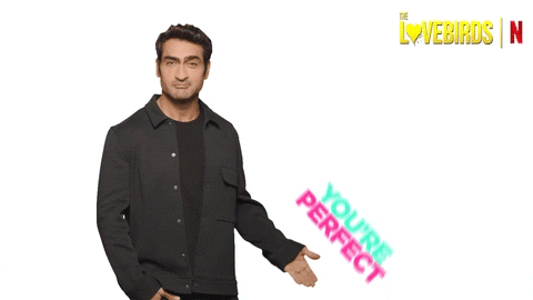 Youre Perfect Kumail Nanjiani GIF by The Lovebirds Movie