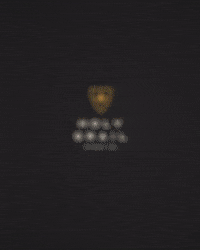 Japanese Kobe A5 Wagyu Steak - Holy Grail Steak