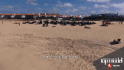 fashion model GIF by Lifetime Telly