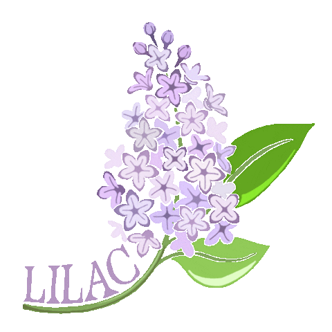 Iu Lilac Sticker