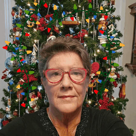 MarkTwain giphygifmaker giphyattribution elf julie sparkles GIF