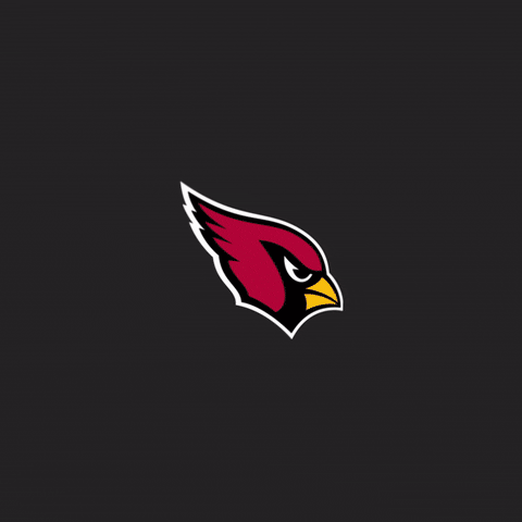 Red Sea Tackle GIF by Arizona Cardinals