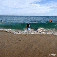summer beach GIF by GoPop