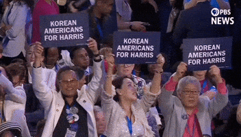 Democratic National Convention Dnc GIF by PBS News
