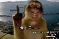 Interesting GIF