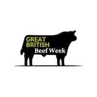 Aberdeen Angus Sticker by Aberdeen Angus Cattle Society