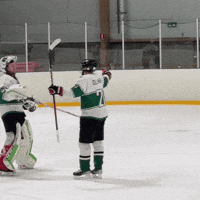 folketspuckhockeyklubb hockey hug tortugas folkets puck GIF