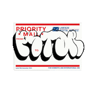 Polarstarairsoft Sticker by monkcustoms