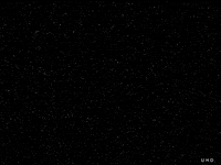 uwe heine GIF by Uwe Heine Debrodt