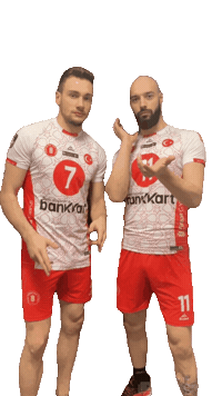 Volleyball Sticker by Ziraat Bankası Spor Kulübü
