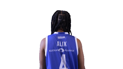 Sport Basketball Sticker by Basket_fi