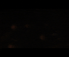 New Haven Fire GIF by District Dave
