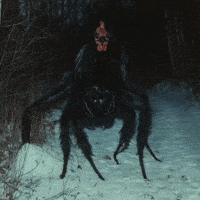 doopiidoo forest spider rooster doopiidoo GIF