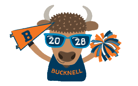 Sunglasses Ray Sticker by Bucknell University