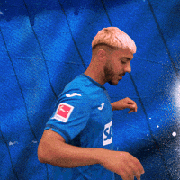 Sport Bundesliga GIF by TSG Hoffenheim