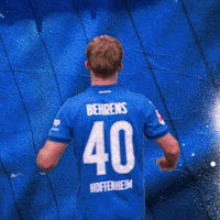 Sport Bundesliga GIF by TSG Hoffenheim