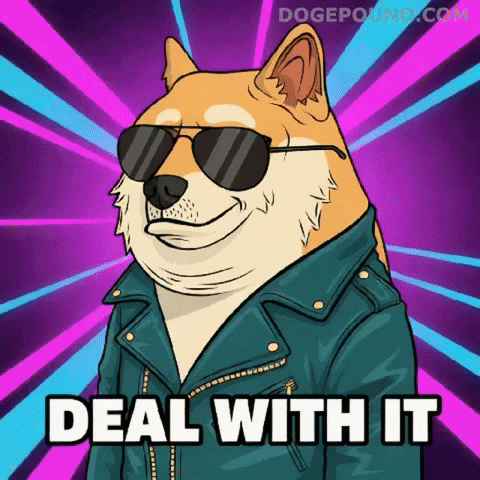 Shiba Inu Deal With It GIF by Doge Pound