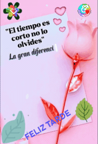 Sabes El Tiempo GIF by Murcianys LLC