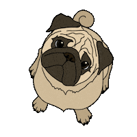 Pra Sticker by Pug Rescue of Austin