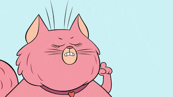 Happy Cat GIF by ZIP ZIP