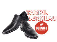 Interview Shoes Sticker by Kiwi Shoe Care