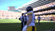 Excited Nfl GIF by Pittsburgh Steelers