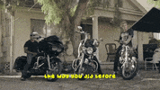 Harley Davidson Party GIF by iamnotshane