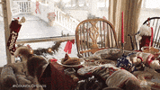Season 1 Dog GIF by NBC