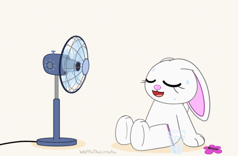 Cooling Down Hot Summer GIF