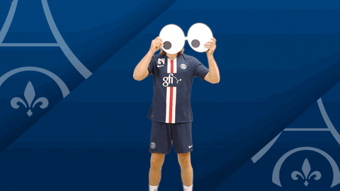 France What GIF by Paris Saint-Germain Handball