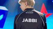 Esports Denmark GIF by BLAST