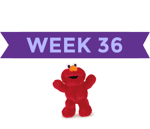 Pregnancy Baby Size Sticker by What to Expect