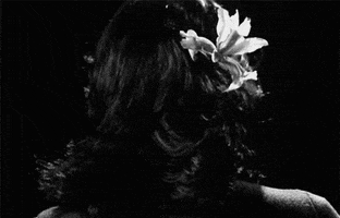 film horror GIF by hoppip