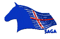 Horse Sticker by Saga Reitschulen