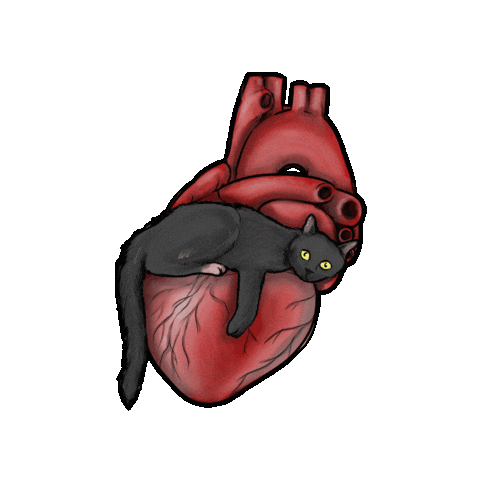 Human Heart Love Sticker