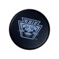 Hockeypuck Sticker by OttersHockey