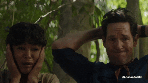 Anaconda No GIF by Sony Pictures Germany