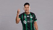A-League Sport GIF by Western United Football Club