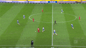 1 Fc Cologne Football GIF by 1. FC Köln