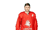 Hockey Celebrate Sticker by ledoritulys.lt