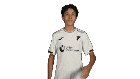 Tsg Hoffenheim Football Sticker by Bundesliga