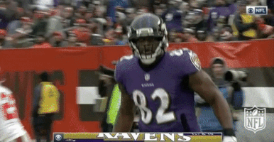 Baltimore Ravens Football GIF by NFL