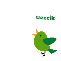 Tazedirekt vegan yemek mis organik Sticker