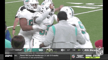 Miami Dolphins Football GIF by NFL