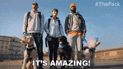 The Pack Dogs GIF by Amazon Prime Video