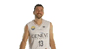 Basketball Ball Sticker by Lions de Genève