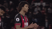 Football Soccer GIF by AFC Bournemouth