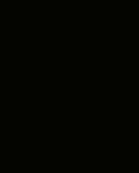 Orange Frame GIF by Metro Areena