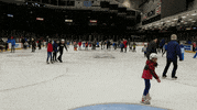 hockey skate GIF by Ottawa 67's